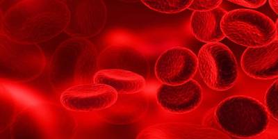 Kan hayattır, kan dökülür