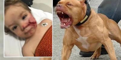 Bu masum çocukların yaşadığı dehşetin hesabını kimden sormak gerekiyor?