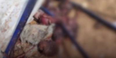 Sudan'da HDK'nın İHA saldırısında 46'sı çocuk 80 kişi öldü