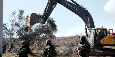 Tohumları çalarak kökleri silmeye çalışmak
