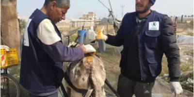 İsrail’in sömürgecilik araçları olarak hayvanlar