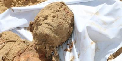 El-Burş işgal rejiminin açıkladığı organ bağışı rakamlarıyla ilgili soruşturma istedi