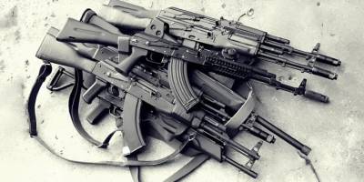 Silahın vesayeti, siyasetin imkânı