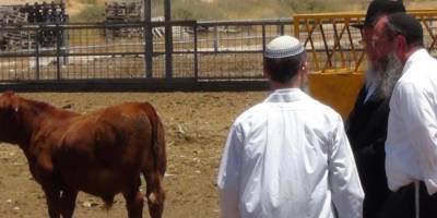 Bölgesel savaşın ardındaki tapınak ideolojisi