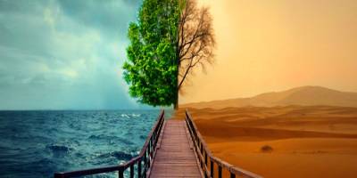 Batının vitrini ve hakikatin sesi