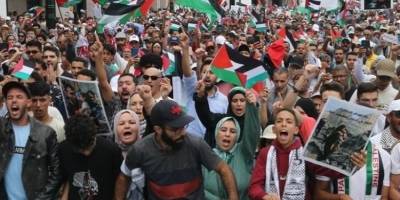 Dünya Filistinli esirler için ayakta: 19 ülkede özgürlük çağrısı