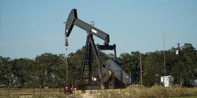 OPEC'in küresel ham petrol üretimindeki payı 2025'te yüzde 36,7 oldu