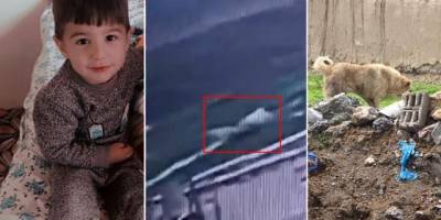 Mama lobisinin kanlı çarkı ve parçalanarak ölen çocuklar