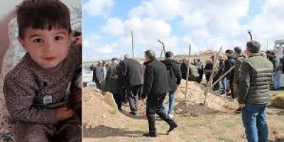 Başıboş köpek sorunu ve geciken çözüm iradesi