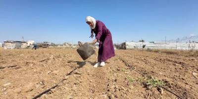 Gazzeli genç kadın babasından miras kalan toprağı ayakta tutuyor