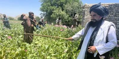 Afganistan’da afyon üretimi yüzde 95 geriledi