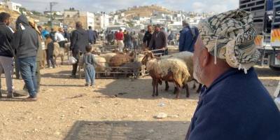 Siyonistlerin hayvan hırsızlığı ve mera gaspı Batı Şeria'da kurban pazarlarını vurdu