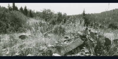 Kişisel bir tanıklık: “Ayn Ghazal”