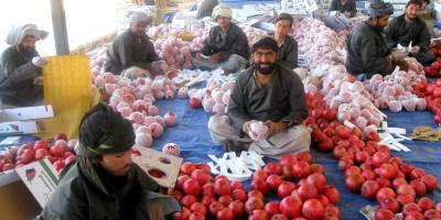 Afganistan’ın Orta Asya ile ticaret hacmi 1,27 milyar doları aştı