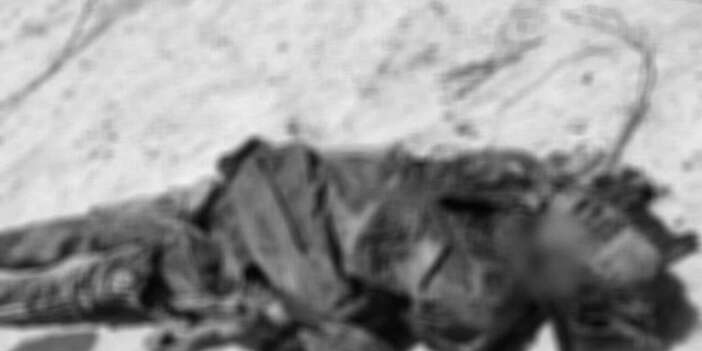 Mali'de cunta ve Rus güçleri 9 sivili katletti