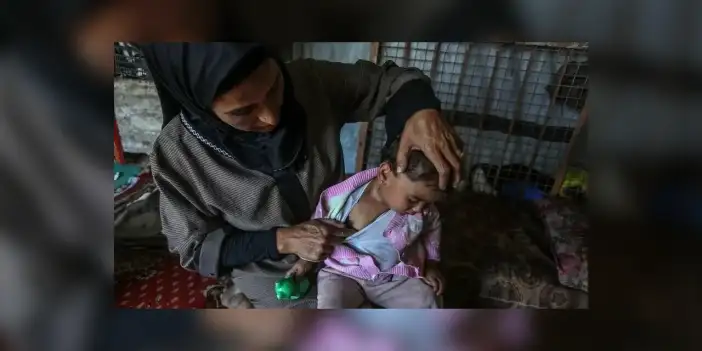 BM: Gazze'de yerinden edilmiş kişilerin yaşadığı yerlerin yüzde 83'ü kemirgen ve parazit istilası altında