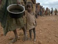 Karikatür Yarışması: Açlık, Obezite ve Ölüm