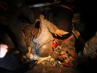 7 Kişi Hayatını Kaybetti, 23 Kişi Kurtarıldı