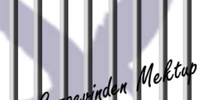 Kırıkkale F Tipi Cezaevinde Hak İhlalleri