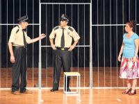 Başbakana Hakaret, Ergenekona Övgü