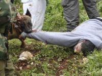 Filistinli Gence Köpekli İşkence