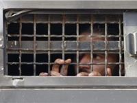 İsrail'den Batı Şeria'da Filistinlilere Gözaltı