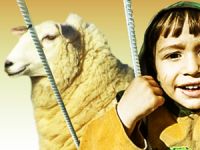 Özgür-Derden Suriye ve Gazze İle Kurban Dayanışması