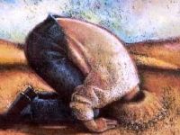 Nesneler Başkaldırıyor, Özneler Seyrediyor