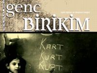 Genç Birikim’in Kasım Sayısı Çıktı