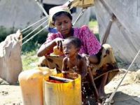 Rohingyalılara Acil Yardım Çağrısı