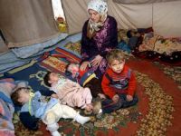 Suriyeli Üçüzler Süt Bekliyor
