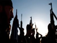 Rakka'da Rejim Uçağı Düştü