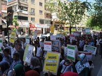 Üniversiteli Gençlerden Barış Sürecine Destek Eylemi