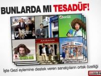 Gezi Eylemcisi Sanatçıların Ortak Yönü