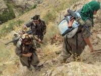 PKK’lıların Yarısından Fazlası Gitti