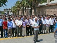 Gebze’den Mısır Halkına Destek Eylemi