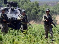 Licede 3 Milyon Hint Keneviri Ele Geçirildi