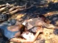 Dünya Burma Zulmüne Suskun (VİDEO)