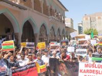 Vandan Mısır Direnişine Bin Selam