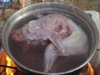 Kıtlıktan Kedi Pişirip Yiyorlar