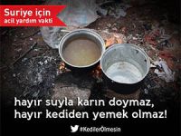 İnsanlık Öldü Kediler Ölmesin!