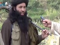 Molla Fazlullah, Tehrik-İ Taliban’ın Yeni Lideri