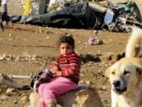 El-Fevvar Mülteci Kampı'nda UNRWA’ya Protesto