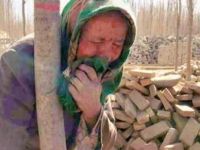 Çin'den D. Türkistan’daki Felakete Sansür!