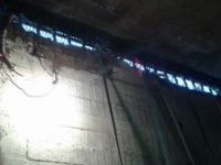 Mısır’da 5 Bin Mahkûm “Yavaş Ölüm” Tehlikesi Altında