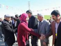 Tan: Demokratik İslam Kongresi'nden Diskalifiye Edildim