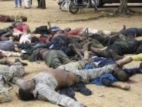Nijerya'da Köylüler Boko Haram'ın Saldırısını Önledi