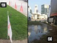 SÜTAŞ'ın Tezek Bahçesi Bir Gecede Çiçek Açtı!