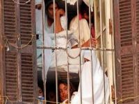 Mısır'da Tutuklu Kadınlara Taciz İşkencesi