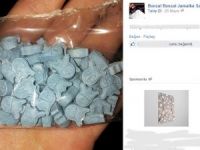 Sosyal Medyada Bonzai Satışı